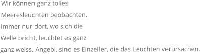 Wir können ganz tolles Meeresleuchten beobachten. Immer nur dort, wo sich die Welle bricht, leuchtet es ganz ganz weiss. Angebl. sind es Einzeller, die das Leuchten verursachen.