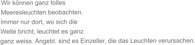 Wir können ganz tolles Meeresleuchten beobachten. Immer nur dort, wo sich die Welle bricht, leuchtet es ganz ganz weiss. Angebl. sind es Einzeller, die das Leuchten verursachen.